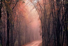 海星体育官网:哈尔滨第九届亚洲冬季运动会主火炬点燃新华社.