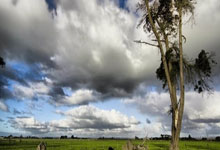 [天下足球]客场大胜热刺 利物浦巩固榜首之位.