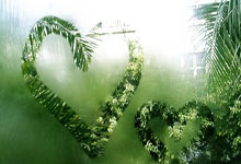 海星体育官网:评分津门虎:巴顿高水平,萨尔瓦多后腰模板,罗斯续带刀后卫传统.