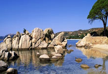 [高尔夫]亚巡菲律宾公开赛次轮肖博文冲上T10 梁文冲出局.